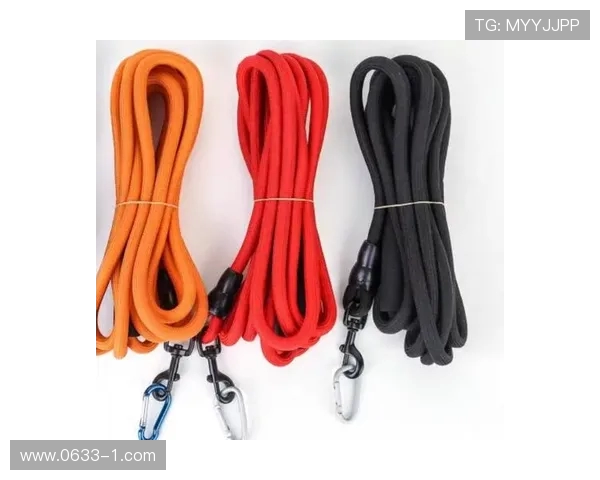 滑板战术解析:深圳滑板队如何构建高效反击体系与战术协同