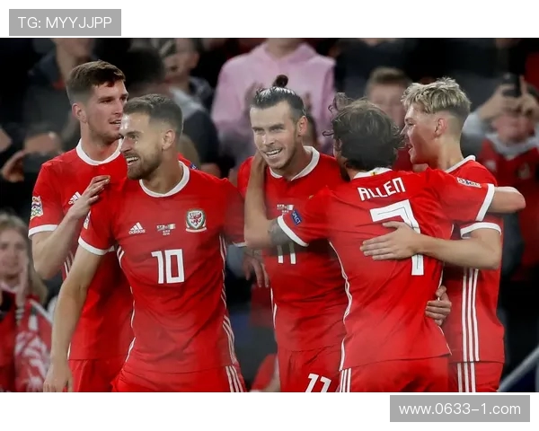 精彩对决直播爱尔兰与威尔士足球赛全程回顾与分析