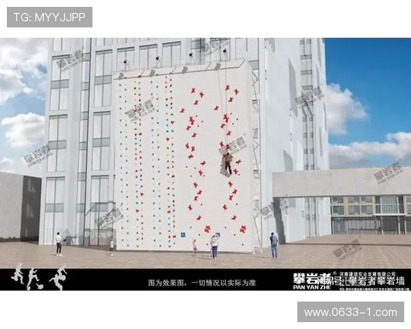 从零起步：全面解析攀岩比赛的技巧与经验分享