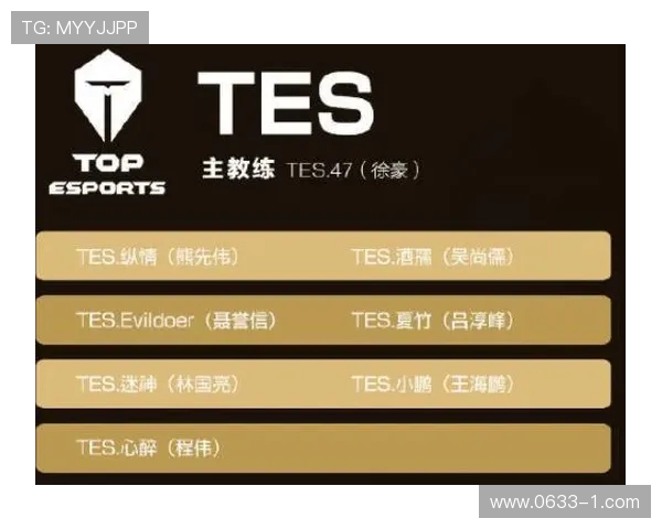 王者荣耀战术解析：TES战队灵活转换体系的深度剖析与应用
